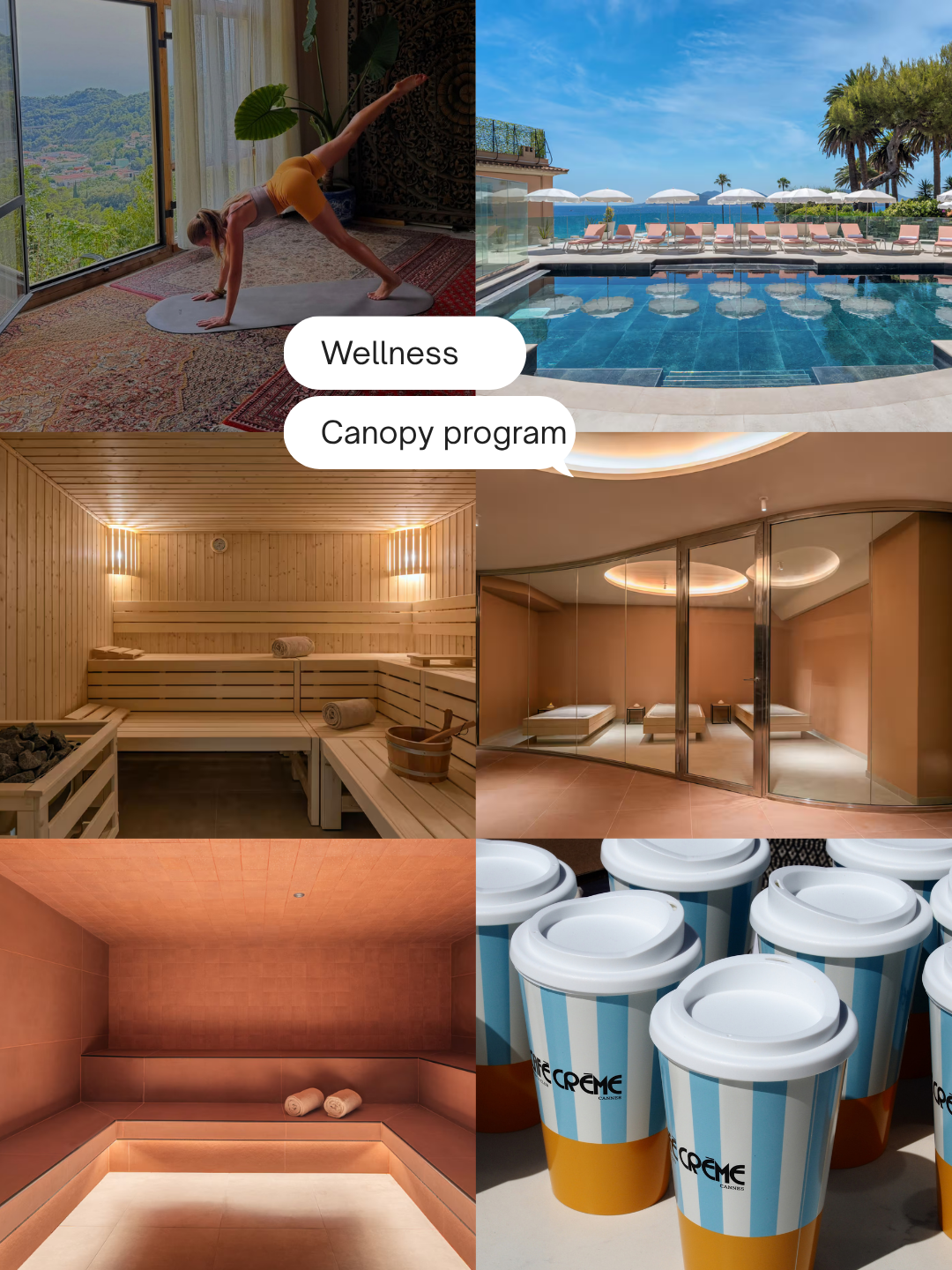 DIMANCHE 25 OCTOBRE -WELLNESS & SPA CANOPY CANNES - 89€
